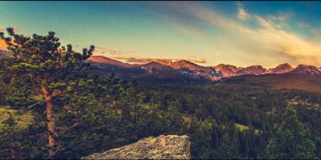 Elliot Tensen banner
