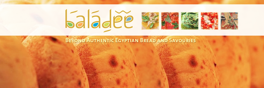 Baladee banner