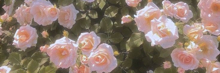 Soft life princess 🌸 banner