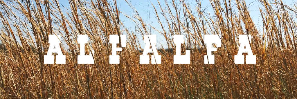 AlfalfaDining's profile banner image