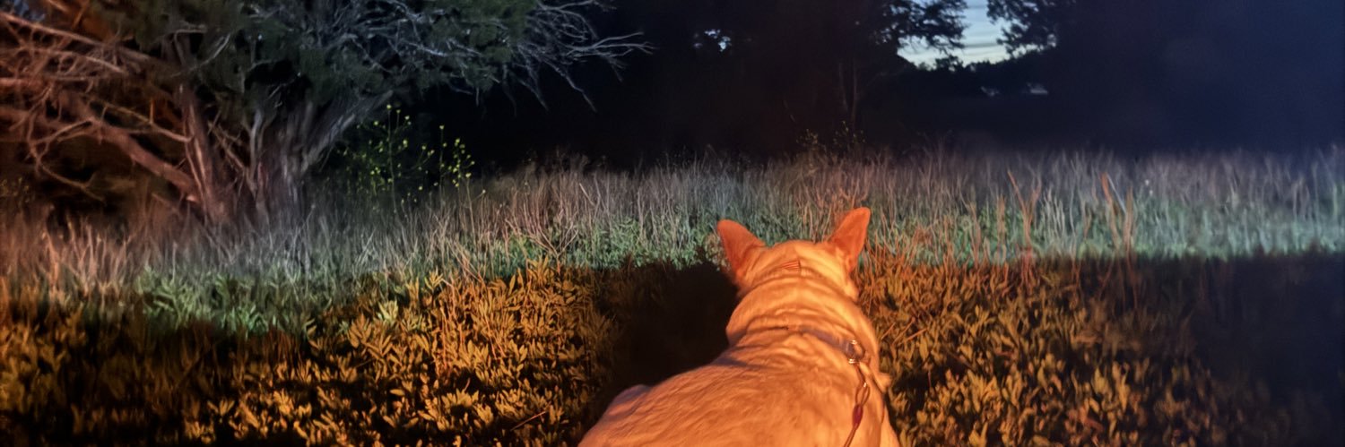 Bac0nWrapped's profile banner image