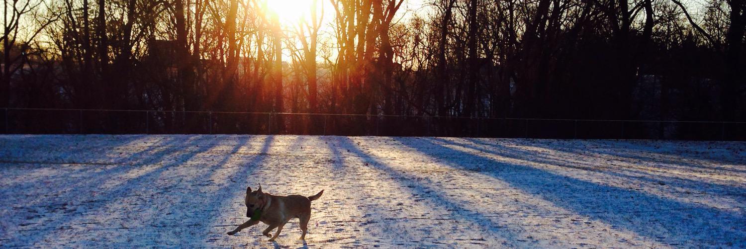 Zeynep Bostanci Aydi MD, FACS banner