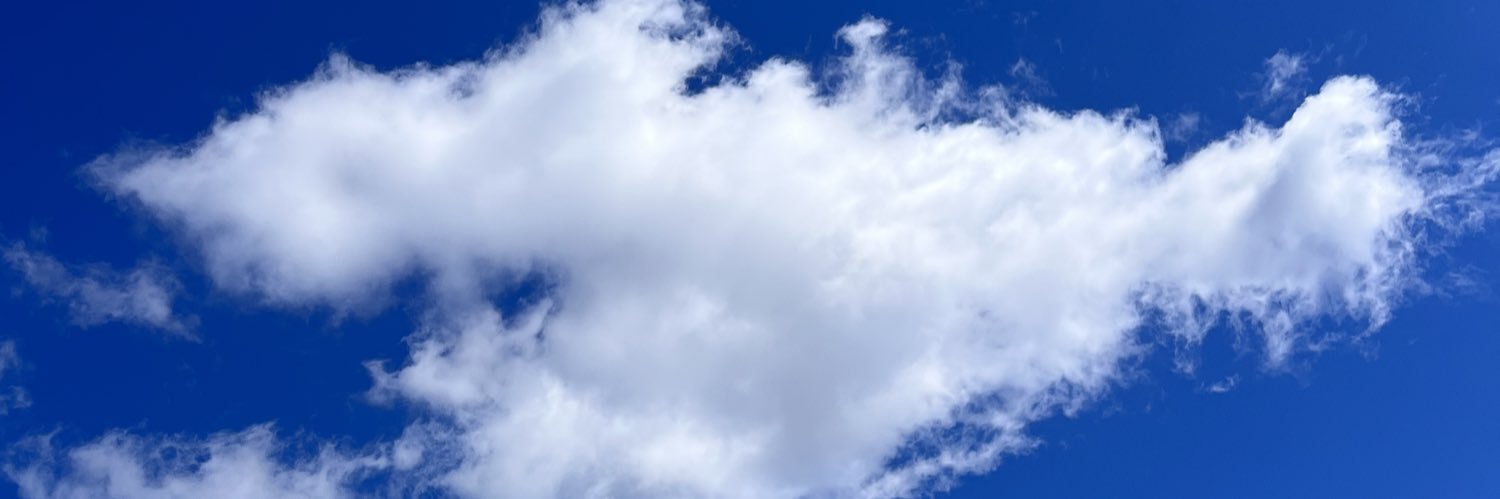 LDF 👩🏼‍⚕️ banner