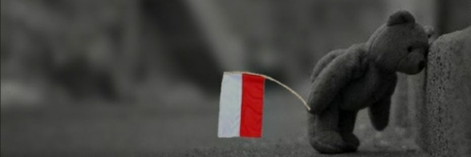 gerberki's profile banner image