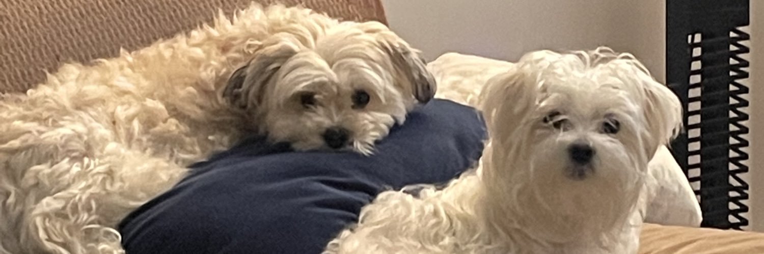 Fantasy Hockey banner