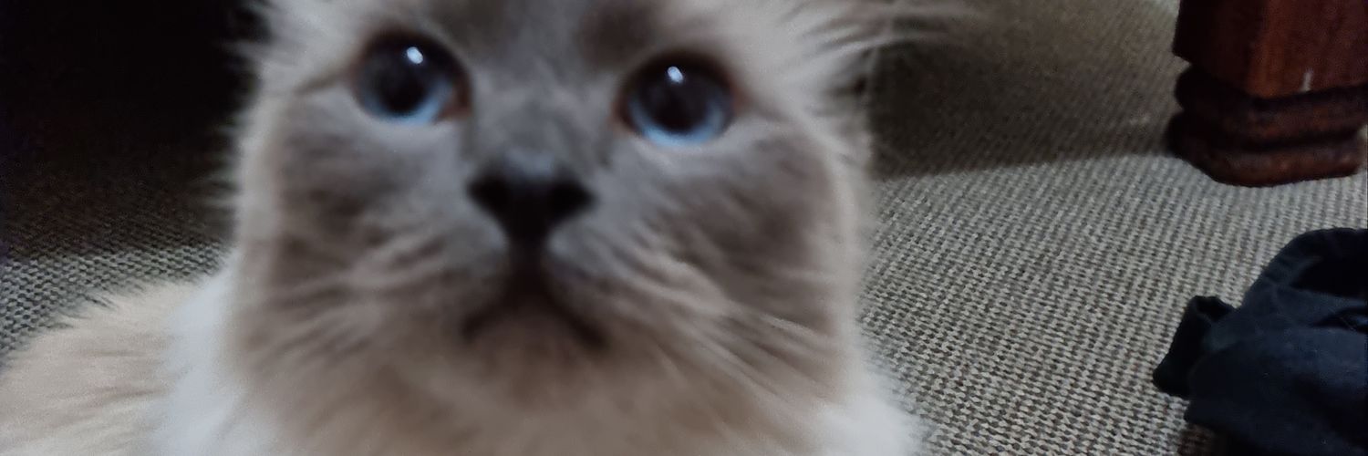EddieTDead's profile banner image