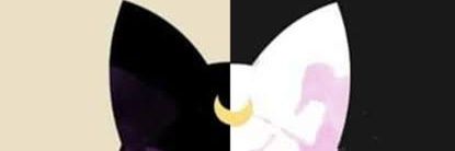 guhtavares's profile banner image