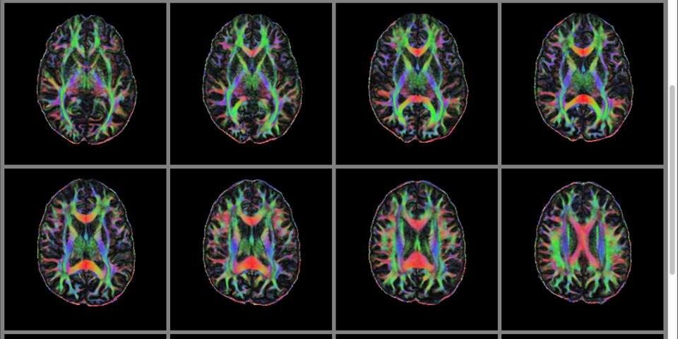 Steven M. Lazar, MD, MEd banner