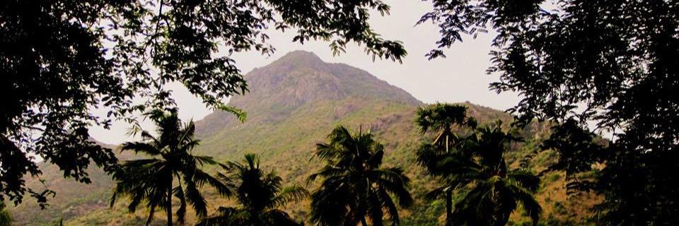 ArunSam3's profile banner image
