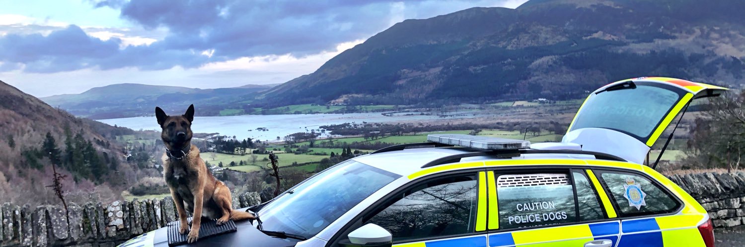 irvoam's profile banner image