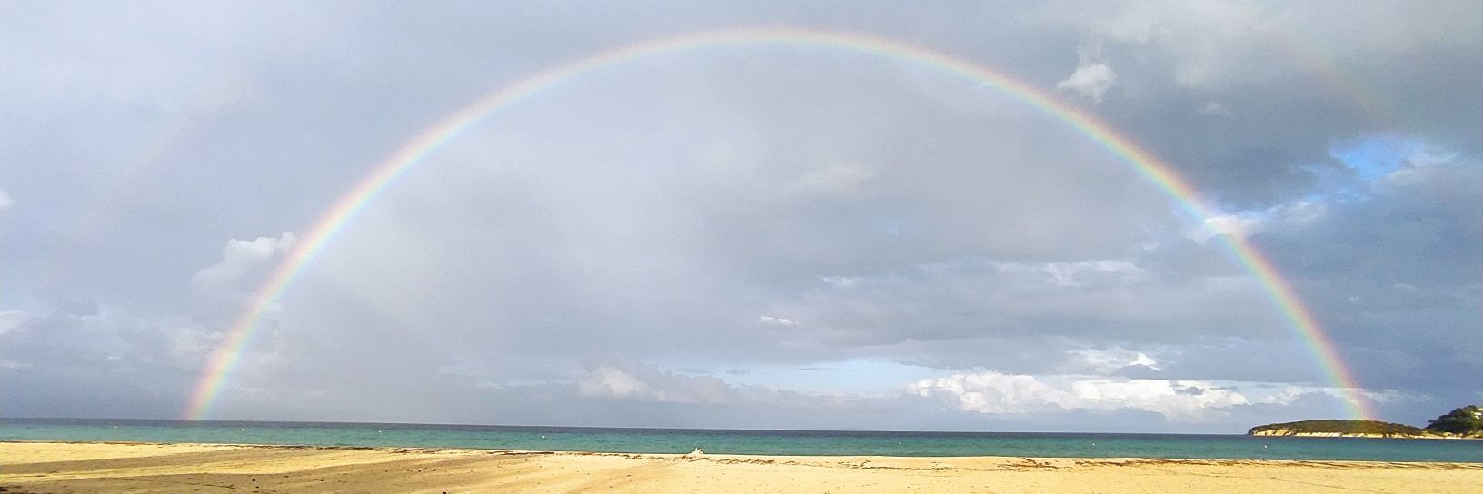 Duni.Sparrow 🐾 banner