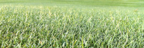 Turfadvice1 Profile Banner