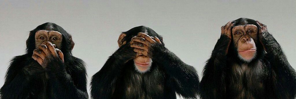 Mad_Dutchman's profile banner image