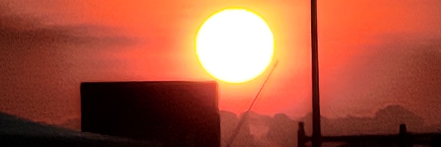 melissa carr banner