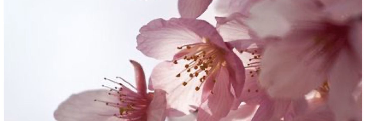 マーたん。 banner