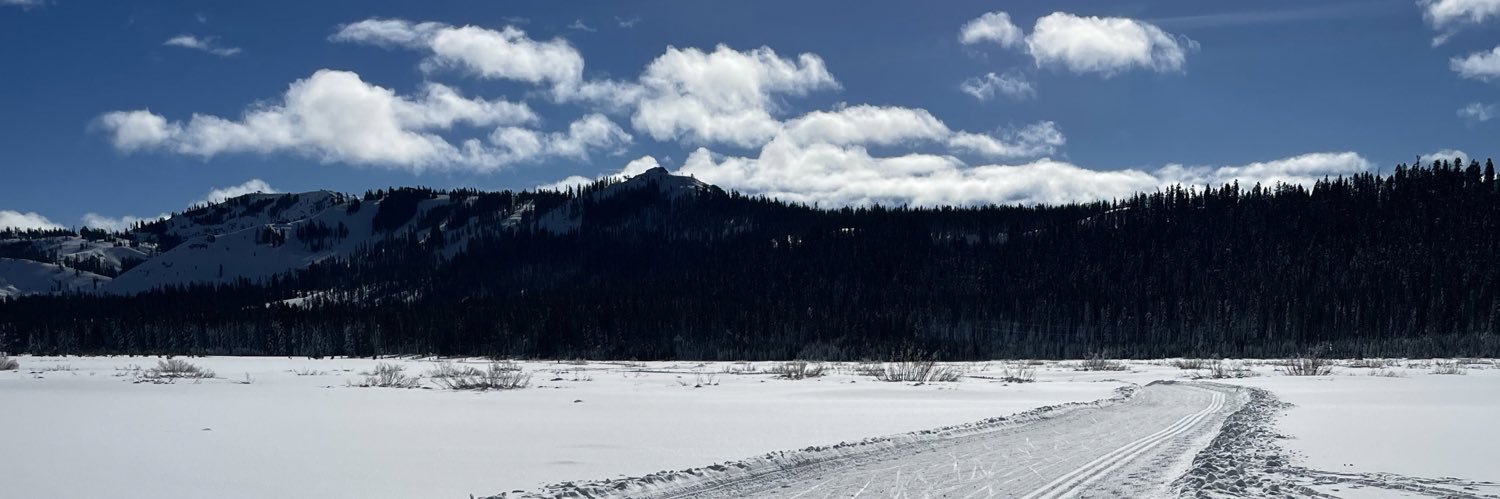 Jocelyn Chapman banner