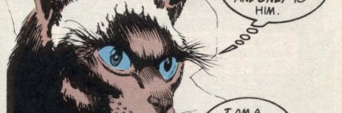 MyBoringName's profile banner image