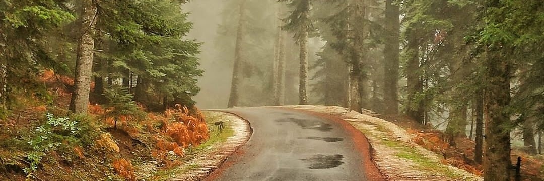 Vanne3333's profile banner image