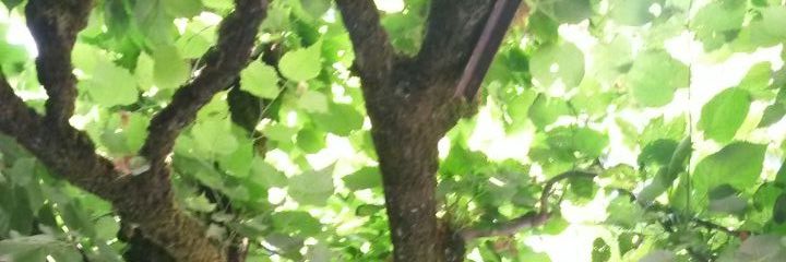 MagaliMargot's profile banner image