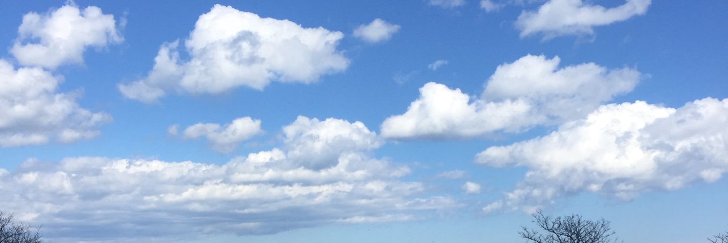 MeganAlfonso's profile banner image