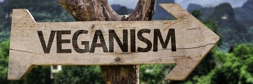 Vegan Problems banner