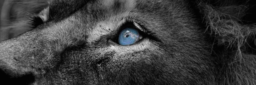 frank_aid's profile banner image