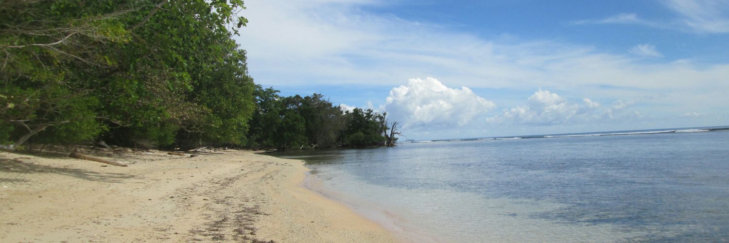 Pradana_H's profile banner image