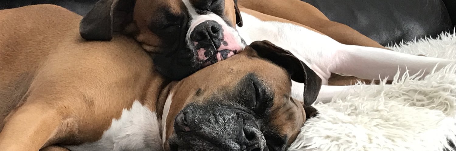 Charlie Fleming banner