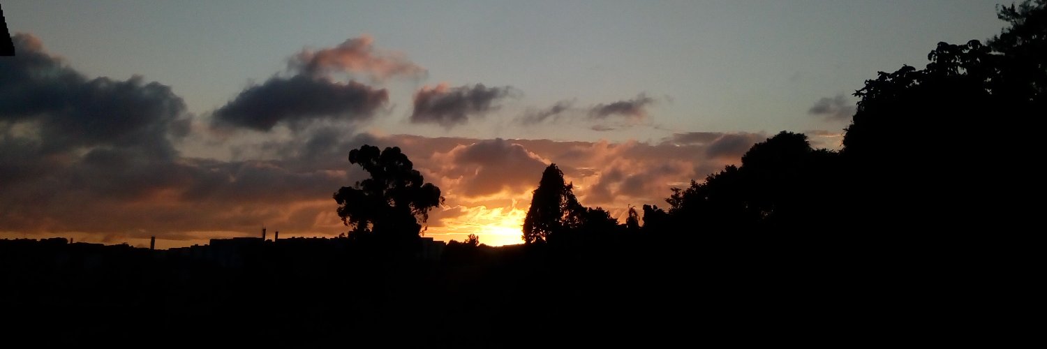 todosvive's profile banner image