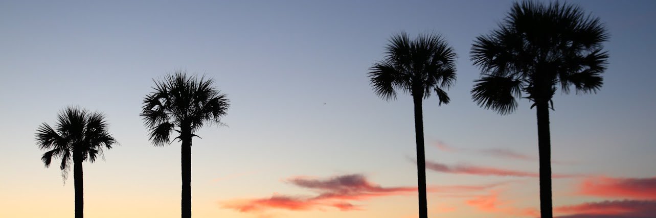 2_lotito's profile banner image