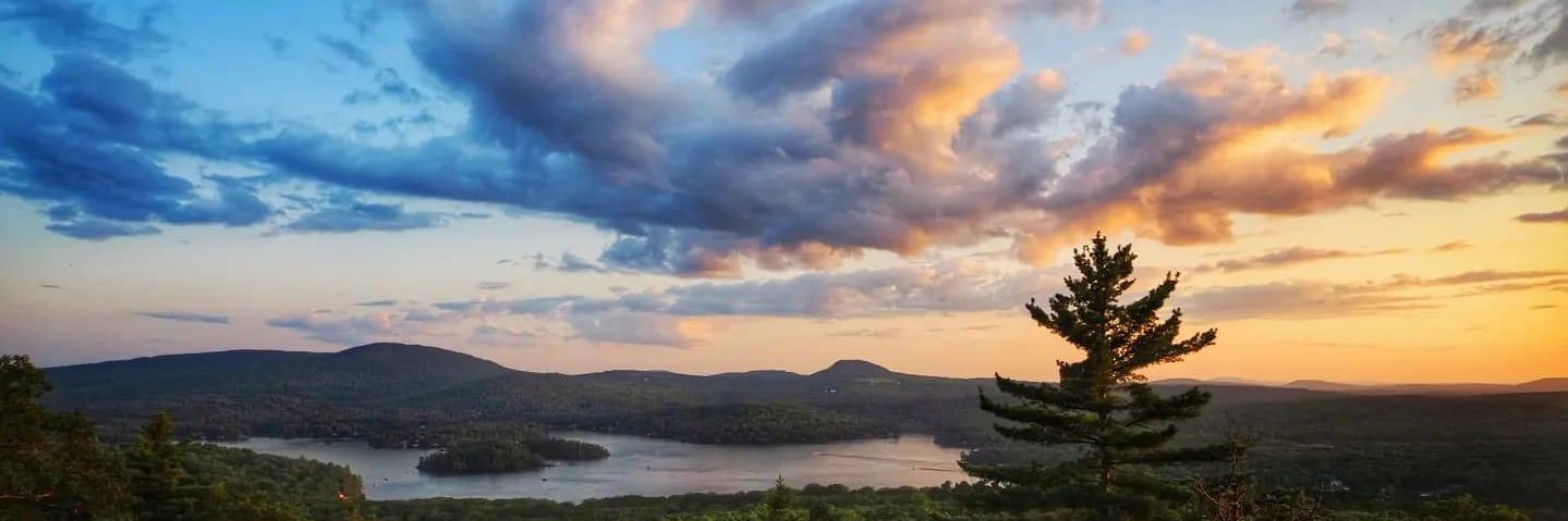 Chris Taylor 🇺🇸 banner