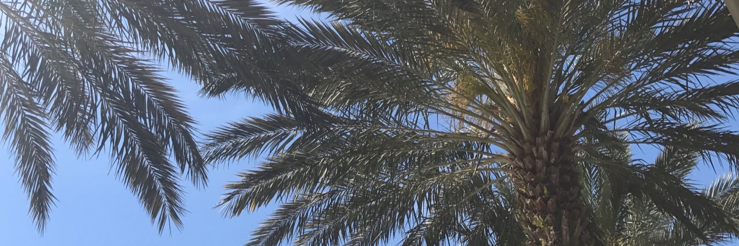 Laur_Guittare's profile banner image