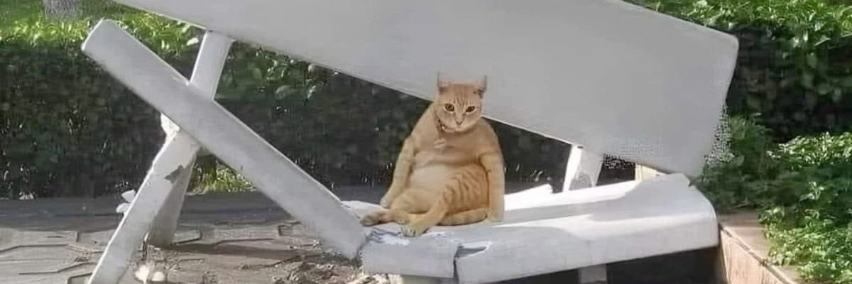 warm_ddong's profile banner image