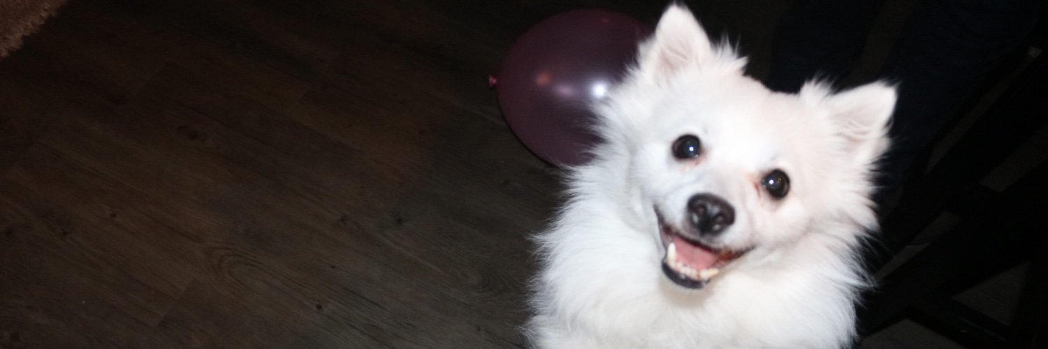 heyyitsbiancaa's profile banner image