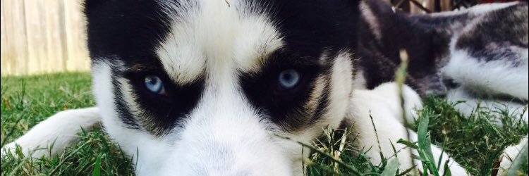 BerryyyGood's profile banner image