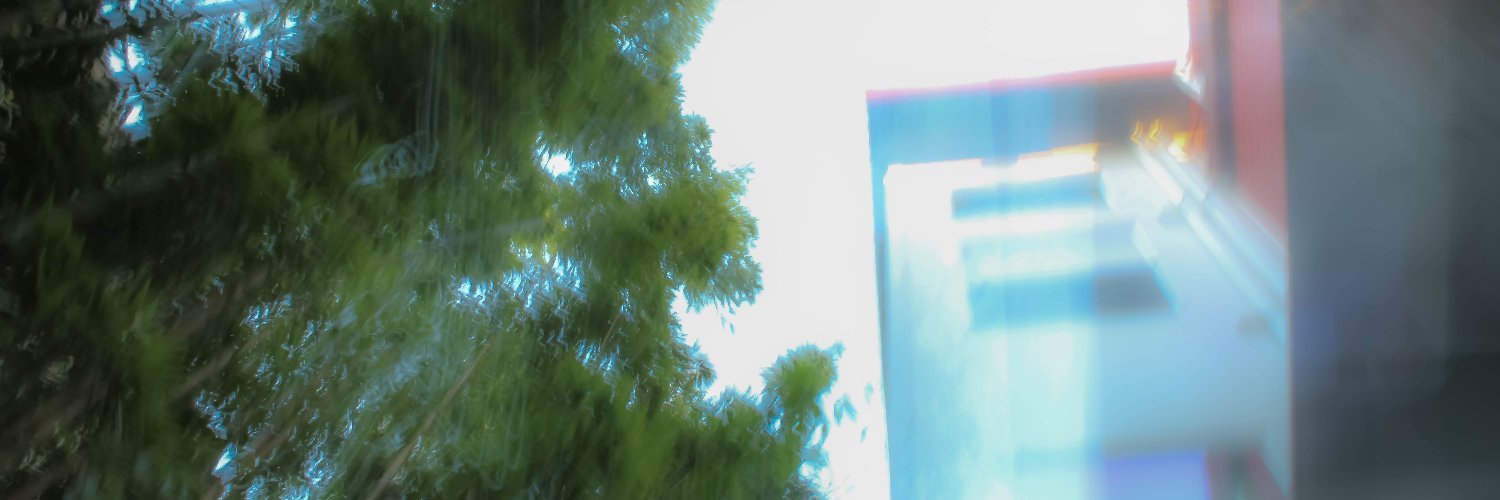 kifferei's profile banner image