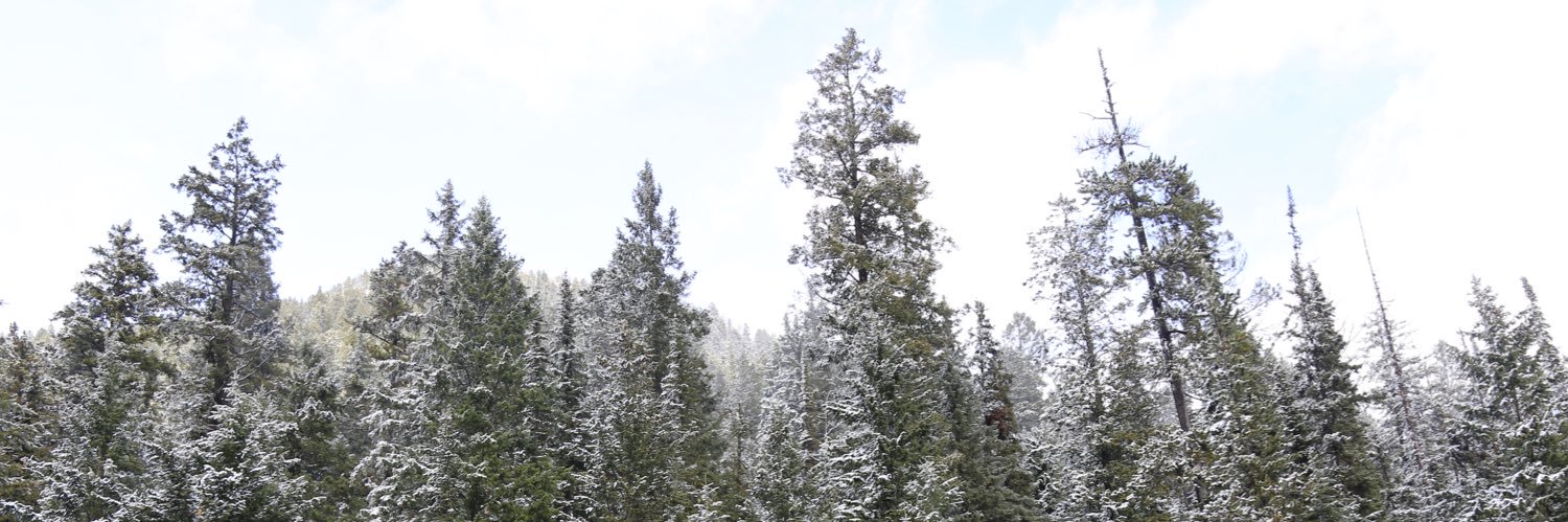 JayRynenberg's profile banner image