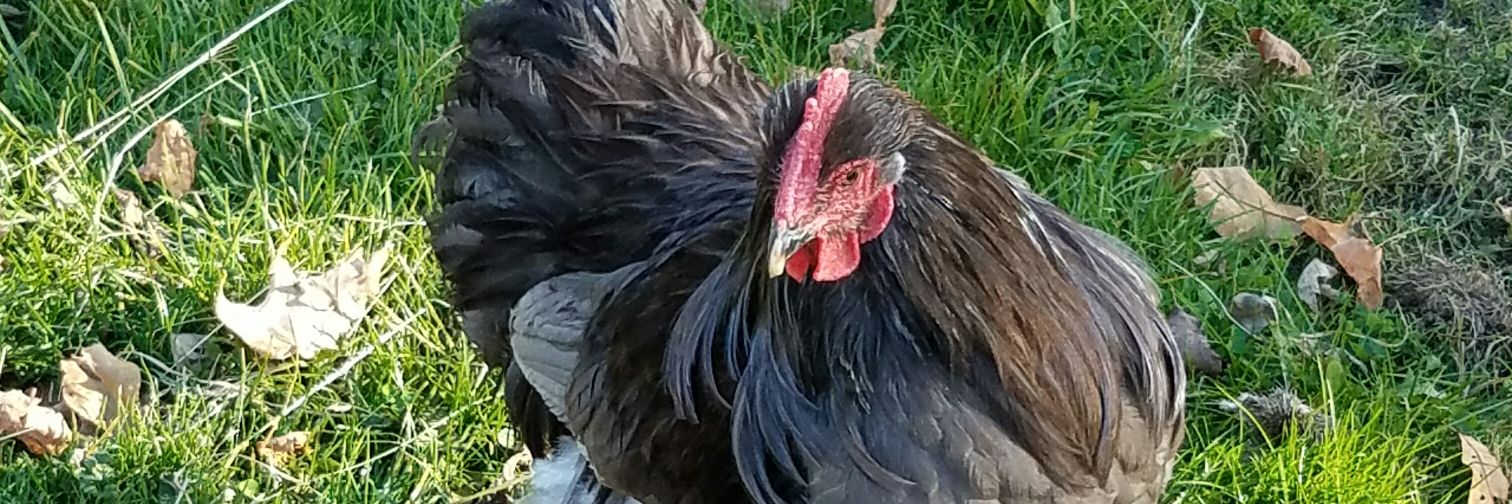 maryblazier's profile banner image