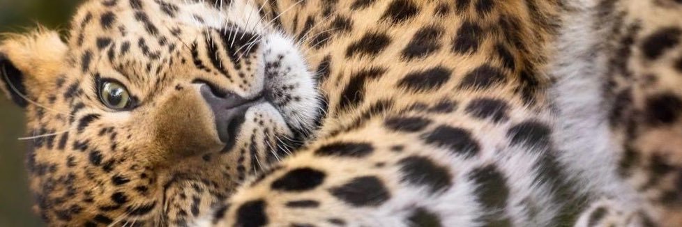 babacarsoumare's profile banner image