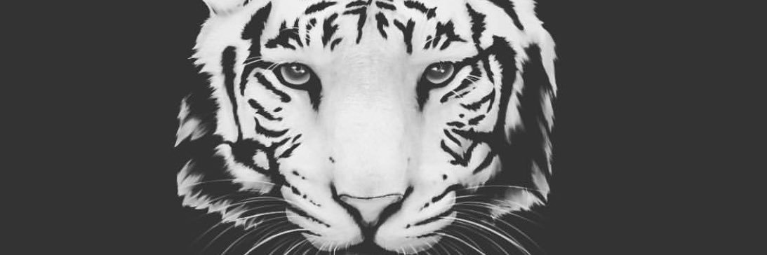 mamu_ines's profile banner image