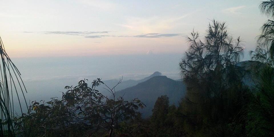 maulperdana's profile banner image