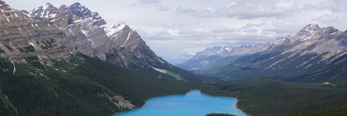 WuTangWilli's profile banner image