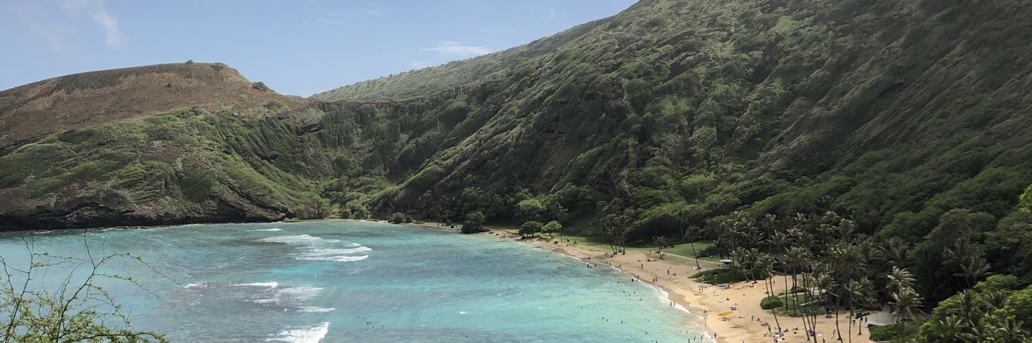 Andrew Hallfrisch banner