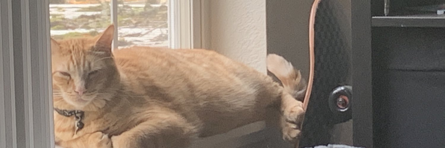 Sydneyyyyy99's profile banner image