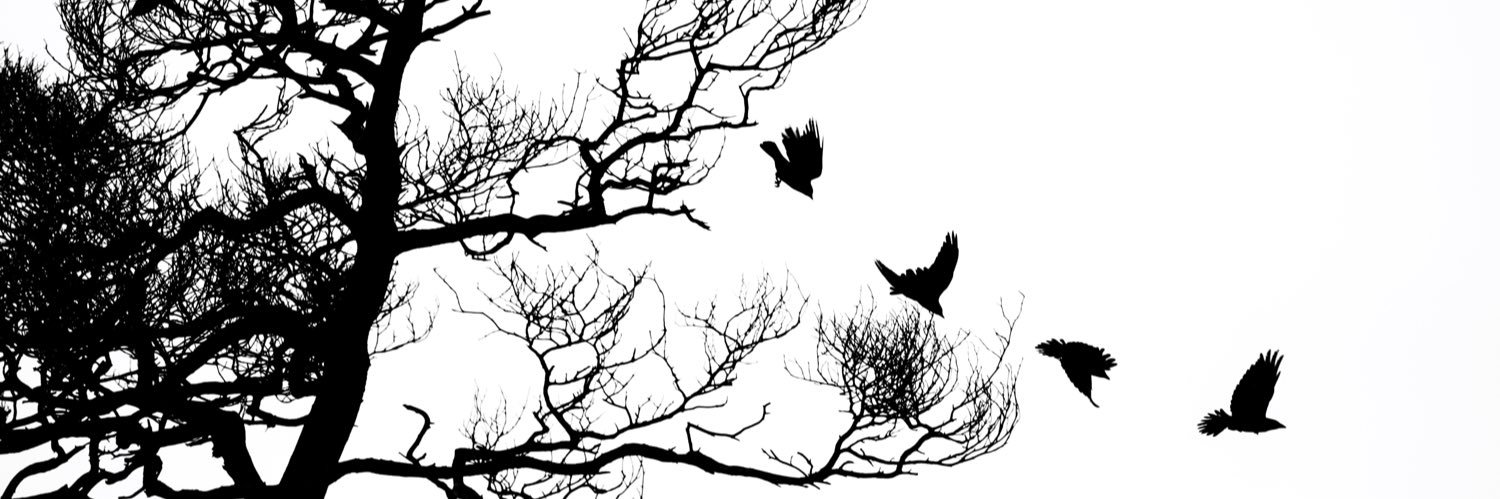 wow1877's profile banner image
