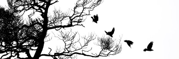 wow1877 Profile Banner