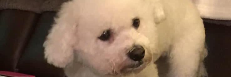 miriamol's profile banner image