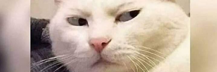 Yobz___'s profile banner image