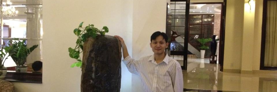 Arrow_Tran's profile banner image
