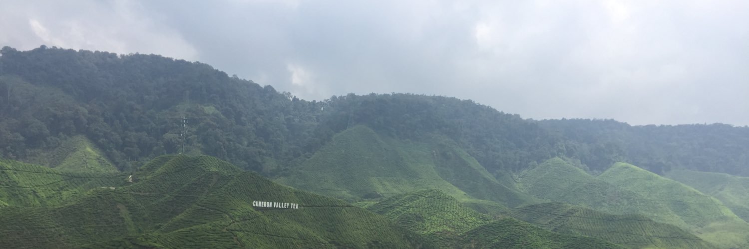 mndil1's profile banner image